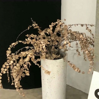 Furry插画光影灵感兽圈社群